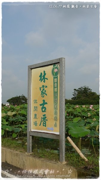 P1310398