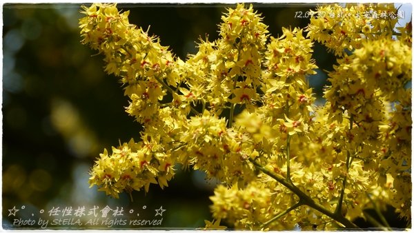 P1370803