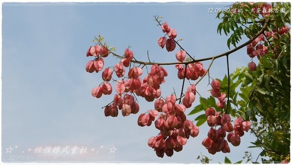 P1370823