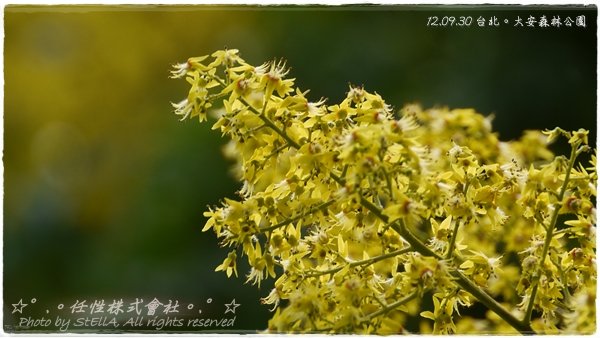 P1370838