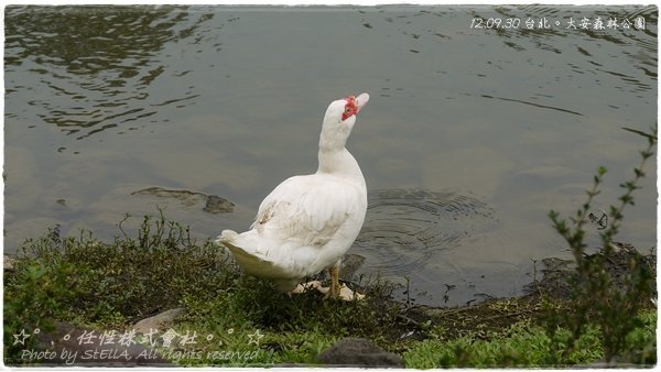 P1370889