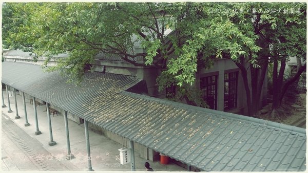 P1390766