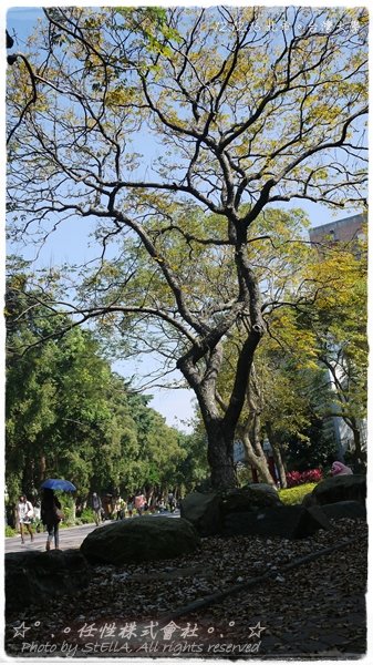 P1420281