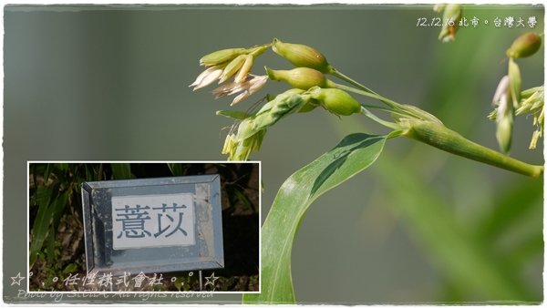 P1420324