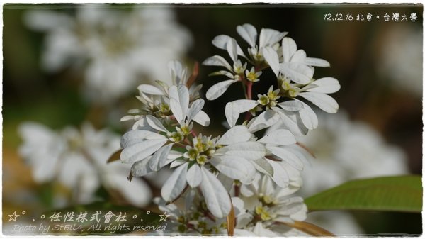 P1420386