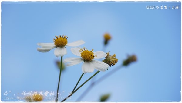 P1460973