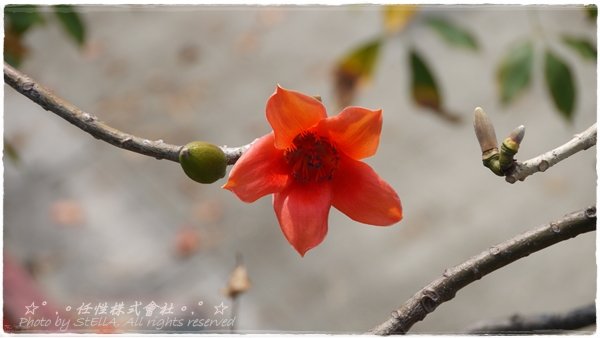P1490539