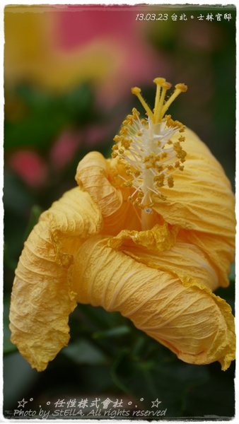 P1490580
