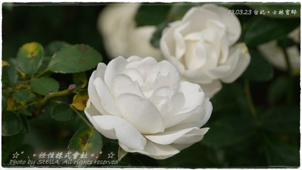 P1490657