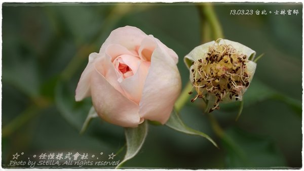P1490679