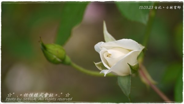 P1490718