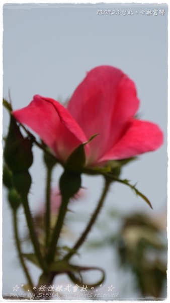 P1490778