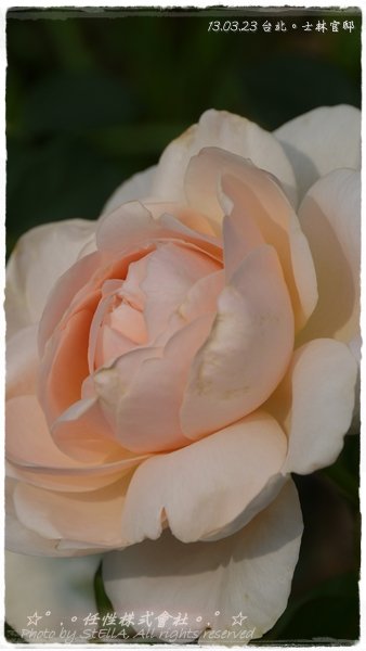 P1490803