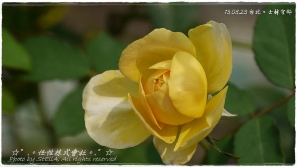 P1490799