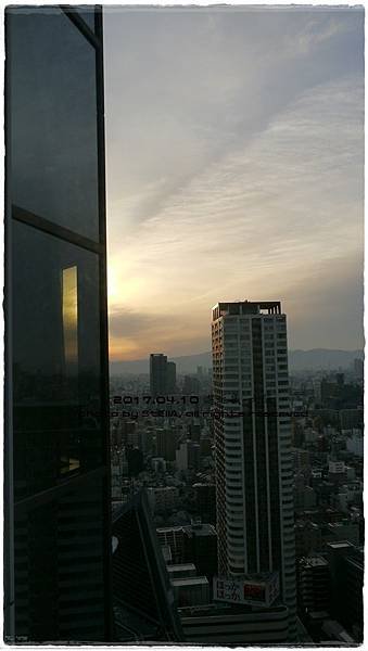 P1630734.JPG