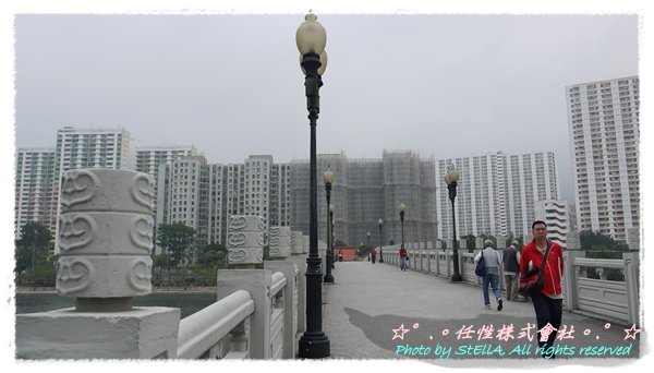 P1040313.JPG