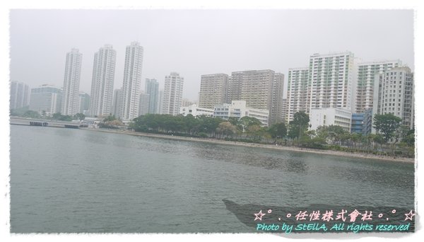 P1040312.JPG