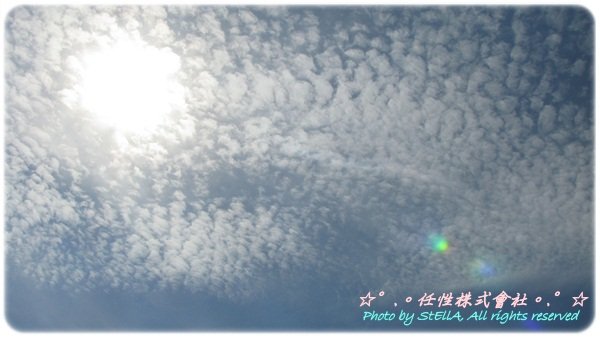 IMG_9629.JPG