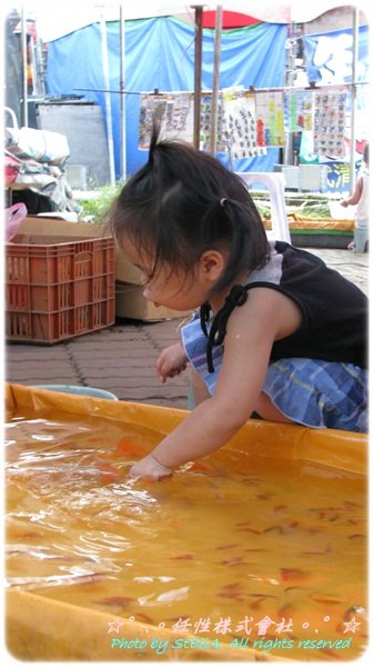 IMG_9748.JPG