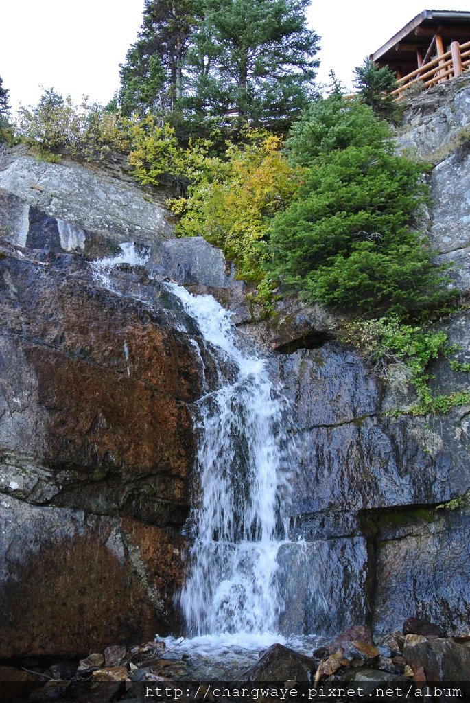 DSC_6376.jpg