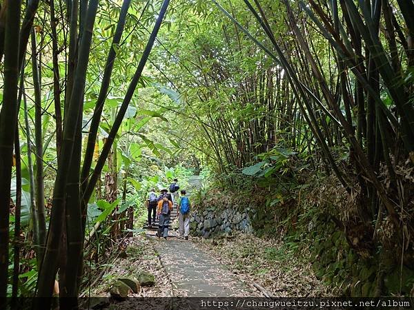 半嶺吊橋.半嶺圳步道.松溪瀑布.天母古道.翠峰瀑布.猴洞圳步