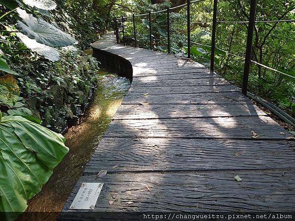 半嶺吊橋.半嶺圳步道.松溪瀑布.天母古道.翠峰瀑布.猴洞圳步