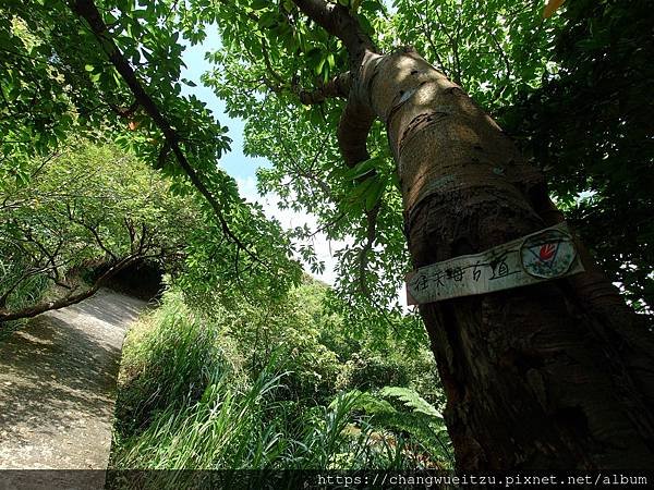 半嶺吊橋.半嶺圳步道.松溪瀑布.天母古道.翠峰瀑布.猴洞圳步