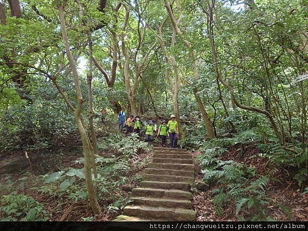 半嶺吊橋.半嶺圳步道.松溪瀑布.天母古道.翠峰瀑布.猴洞圳步