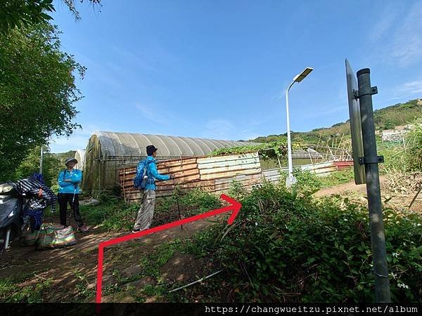 狗殷勤古道(竹林步道.金合興圳).下青礐產業道路環狀連走