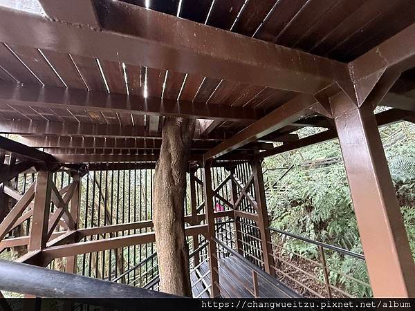 翠山步道.大崙尾山.大崙頭山.小溪頭環狀步道連走