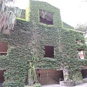 DSCN0067