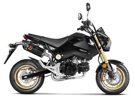 HONDA Msx125 樂趣小車.jpg