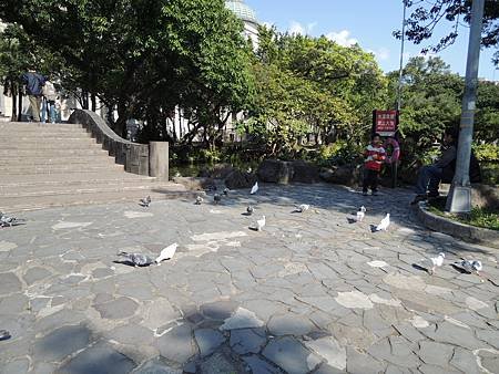 DSCN2602.JPG
