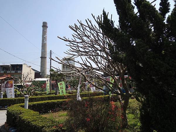 DSCN6187.JPG