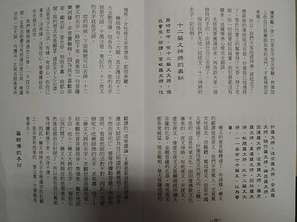 DSCN6871.JPG