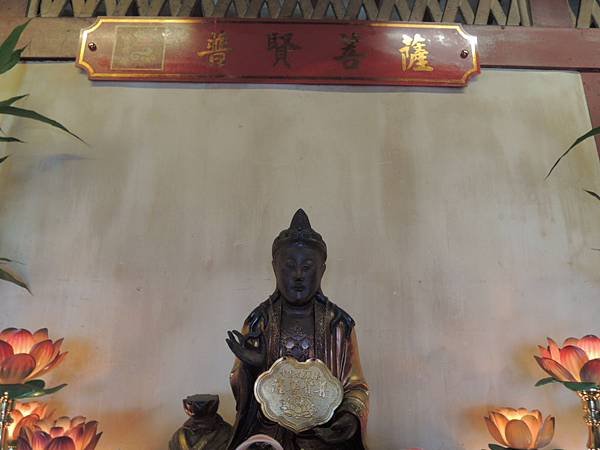 DSCN8261.JPG