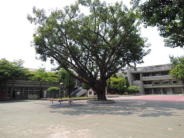 DSCN7161.JPG