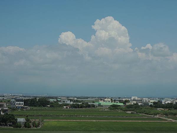 DSCN8447.JPG