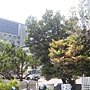 DSCN6237.JPG