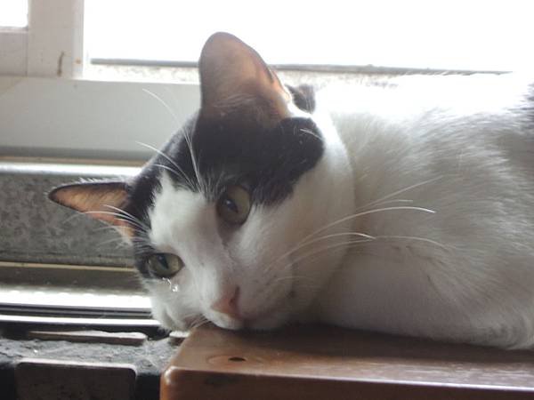 DSCN8988.JPG