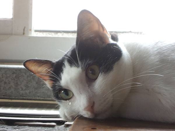 DSCN8990.JPG