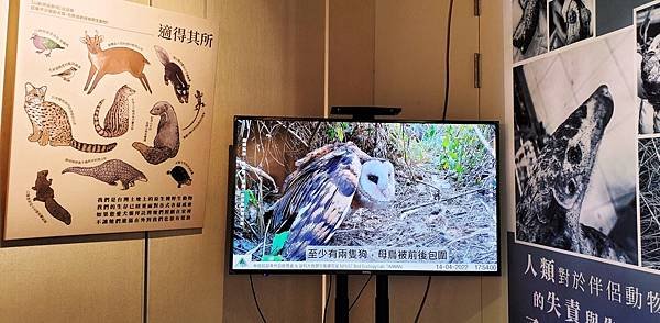 動物保護政策-壽山動物保護關愛園區戶外見習-詹翔霖副教授願生命皆適得其所 (23).jpg