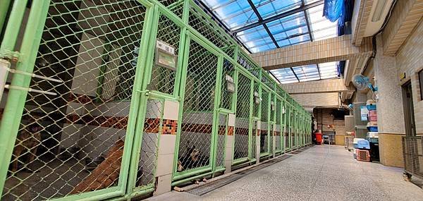 動物保護政策-動物保護關愛園區-詹翔霖副教授願生命皆適得其所 (15).jpg