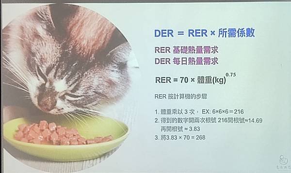 動物醫院助理培訓-獸醫助理課程-寵物照護產業趨勢與角色