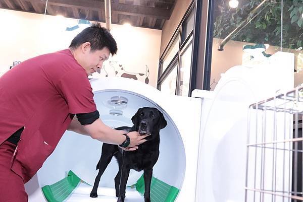 動物醫院「寵物商機」寵物產業趨勢教材-詹翔霖副教授KOL行銷與網紅行銷策略與案例 (4).jpg