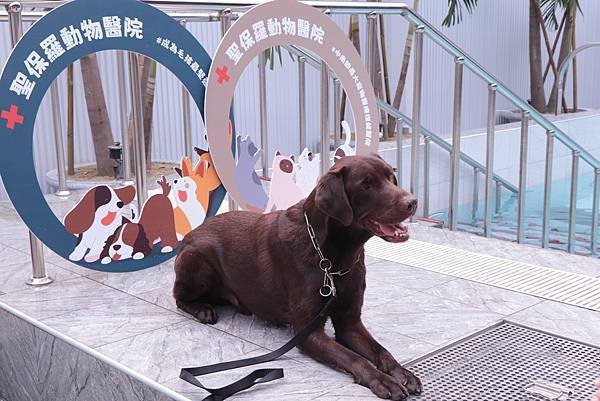 動物醫院「寵物商機」寵物產業趨勢教材-詹翔霖副教授KOL行銷與網紅行銷策略與案例 (2).jpg