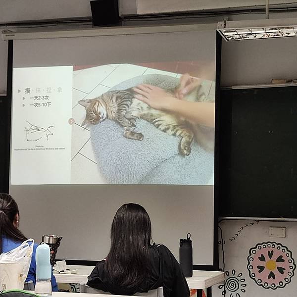 寵物店規劃與經營管理-創業實作專題-詹翔霖副教授2學分 (1).jpg