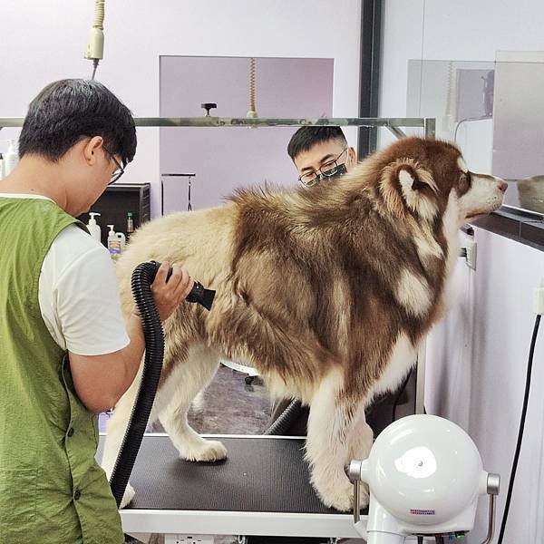 動物醫事助理資格訓練課程-溝通課程-人際溝通與傾聽技巧-圖檔詹翔霖副教授寵物溝通 (3).jpg