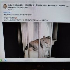 動物醫院與寵物美容節慶行銷活動規劃-品牌年度規劃行銷活動案例112.10-113.04 詹翔霖副教授…寵物業專任人員課程-經營實務：寵物業行銷1 (14).jpg