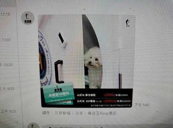 動物醫院與寵物美容節慶行銷活動規劃-品牌年度規劃行銷活動案例112.10-113.04 詹翔霖副教授…寵物業專任人員課程-經營實務：寵物業行銷1 (237).jpg